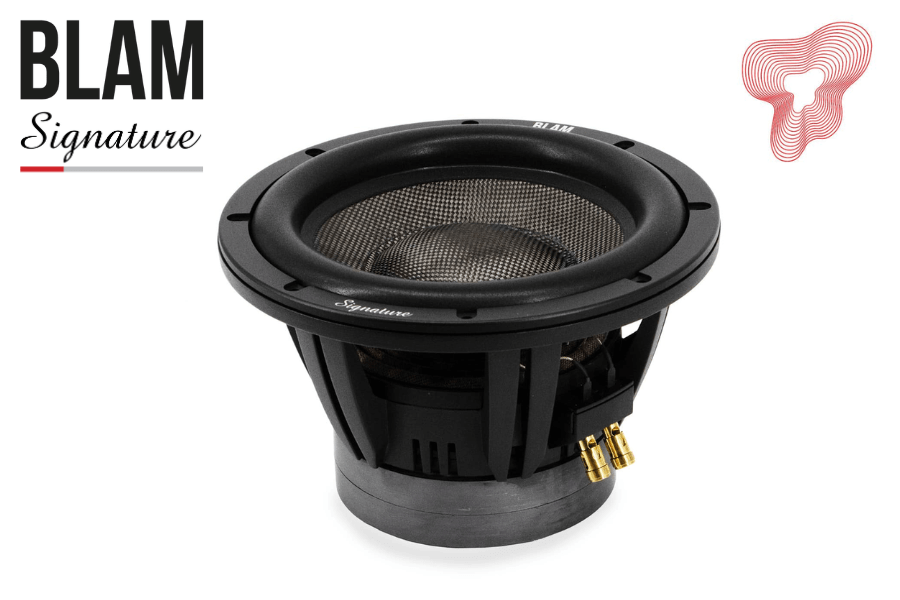 BLAM Supersub 10" (270mm) 1000W High-Performance Subwoofer (2x 2 Ohms)